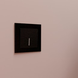 W0011108 Рамка на 1 пост (черный) Favorit Werkel a051438