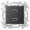 2411096-038 Зарядное устройство розетка 2хUSB, графит Simon 24
