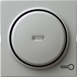 028742 Клавиша с символом "ключ" Серый Gira S-color