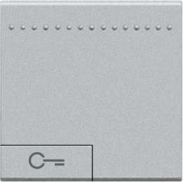 NT4915M2FN LivingLight Клавиша Ключ, размер 2 модуля Bticino