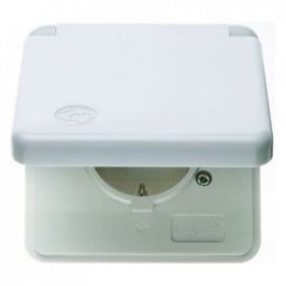 421109 Штепсельная розетка SCHUKO с накладкой и откидной крышкой цвет: полярная белизна, с блеском Влагозащищенный скрытый монтаж IP44 Berker