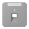 CD569-1NAUAGR CD 500/CD plus Серый Накладка 1-ой наклонной ТЛФ/комп розетки с полем для надписи Jung
