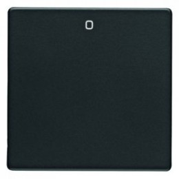 16226086 Клавиша с надписью Berker