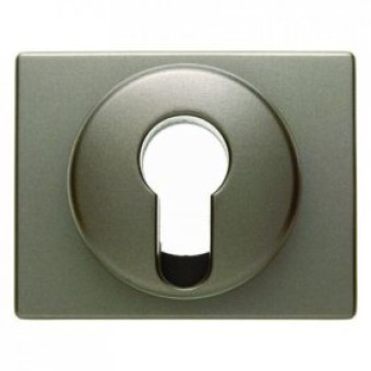 15059021 Центральная панель для замочных выключателей/кнопок цвет: светло-бронзовый, лак Arsys Berker