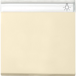 029901 Одинарная клавиша с полем для надписи Кремовый Gira