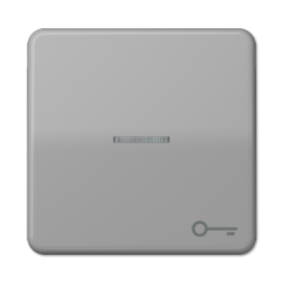 CD590KO5TGR CD 500/CD plus Серый Клавиша 1-я с/п с символом "КЛЮЧ" Jung