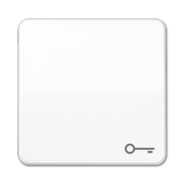 CD590BFTWW CD ударопр. Белый Клавиша для 1-я с символом "КЛЮЧ" Jung