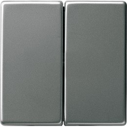 029520 Клавиша двойная Сталь Gira E22