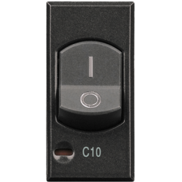 HS4301/10 Axolute Двухполюсный термомагнитный выключатель с индикатором защиты 1 полюса, 10 А Bticino