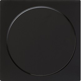 026847 Заглушка с опорной платой Черный Gira S-color