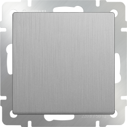 W1112009 Выключатель одноклавишный проходной (cеребряный рифленый) Antik Werkel a051348