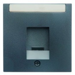 11701606 Центральная панель с заслонкой от пыли и полем для надписи цвет: антрацит, матовый B.1/B.3/B.7 Glas Berker