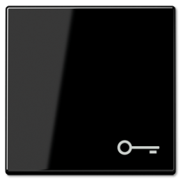 A590TSW 1-ая клавиша с символом "ключ", черн. Jung A серия