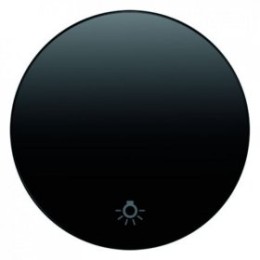 16202035 Перекидной выключатель, R.1 Berker