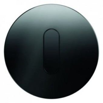 10012055 Накладка с ручкой для поворотных переключателей, R.1, стекло цвет: черный Berker