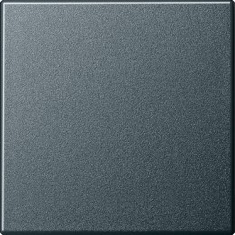 029628 Клавиша одинарная Антрацит Gira