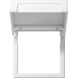 265827 Монтажные рамки с крышкой System 55 матовый белый Белый Gira