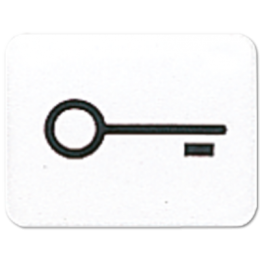 33TWW CD 500/CD plus Белый Линза с символом "КЛЮЧ" для клавиши с окошком Jung