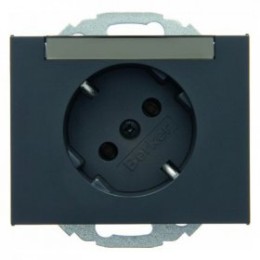 47287106 Штепсельная розетка SCHUKO 45° с полем для надписей цвет: антрацит, матовый K.1 Berker