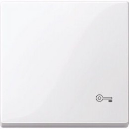 MTN3303-0325 Клавиша с пиктограммой «ключ» акт-белый Merten