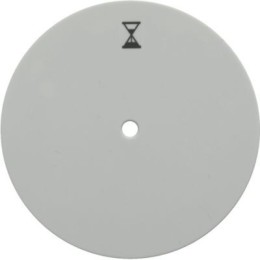 16742089 Центральная панель с нажимной кнопкой для механизма реле времени, R.1/R.3, цвет: полярная белизна Berker