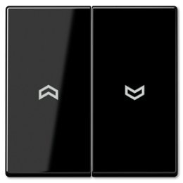 A595PSW А 500 Черный Клавиша 2-я жалюзийная Jung A серия