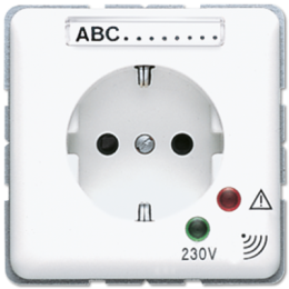 CD521KINAUFWW SCHUKO-розетка 16А 250V~ с защитой от перенапряжения белая Jung