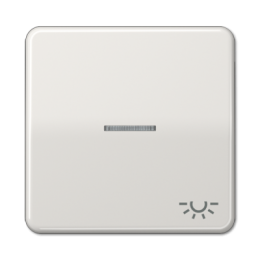 CD590KO5LLG CD 500/CD plus Светло-серый Клавиша 1-я с/п с символом "ОСВЕЩЕНИЕ" Jung