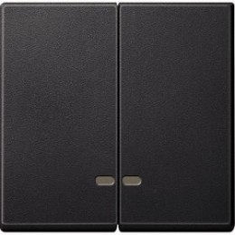 MTN3420-0414 Две клавиши с окош.для свет.инд.антрацит Merten