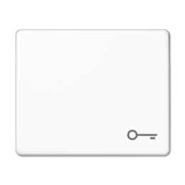 SL590TWW SL 500 Белый  Клавиша 1-я с символом "КЛЮЧ" Jung