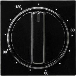 064247 Накладка таймера 120 мин Черный Gira S-color