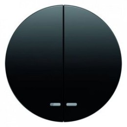 16272045 Клавиша двойная,с двумя линзами, цвет: белый глянцевый R.1/R.3 Berker