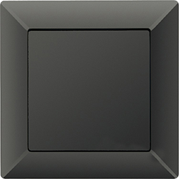EP481AN Рамка ECO Profi Антрацит 1-постовая Jung