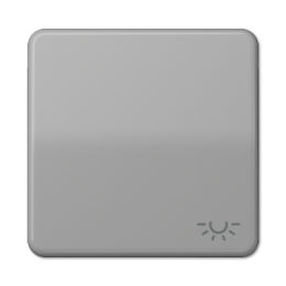 CD590LGR CD 500/CD plus Серый Клавиша 1-я с символом "ОСВЕЩЕНИЕ" Jung