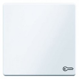 16206069 Клавишный выключатель с оттиском символа двери цвет: полярная белизна, с эффектом бархата, Q.1 Berker