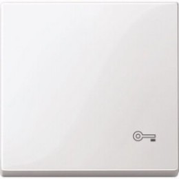 MTN3303-0319 Клавиша с пиктограммой «ключ» белый Merten
