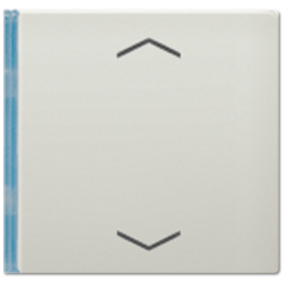 ES2404TSAP14 Клавиша со стрелками Jung LS серия