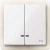 MTN3424-0325 Две клавиши с окош.для свет.инд.IP 44 акт-б Merten