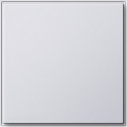 026866 Заглушка с опорной платой Белый Gira TX44