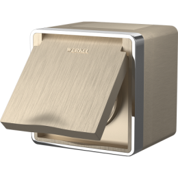 WL15-02-04 Розетка влагозащ. с зазем. с защит. крышкой и шторками Gallant (шампань рифленый) Gallant Werkel a041420