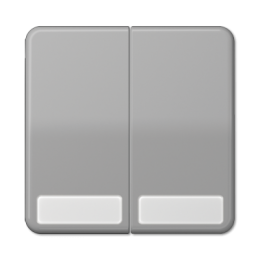 CD595NAGR CD 500/CD plus Серый Клавиша 2-я с полем для надписи Jung