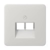 CD569-2UALG CD 500/CD plus Светло-серый Накладка 2-ой наклонной ТЛФ/комп розетки Jung