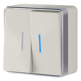 WL15-03-03 Выключатель двухклавишный с подсветкой Gallant (слоновая кость) Gallant Werkel a036778