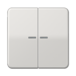 CD595KO5BFLG CD ударопр. Светло-серый Клавиша 2-я с/п Jung