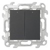 2450392-038 Двухклавишный выкл с подвсеткой, графит Simon 24