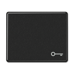 SL590TSW SL 500 Черный Клавиша 1-я с символом "КЛЮЧ" Jung