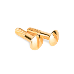 WL18-22-01 Винты для распределительной коробки/TV  розетки 2 шт. (золото) Ретро Favorit Runda Werkel a038396