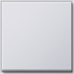 029666 Клавиша одинарная Белый Gira TX44