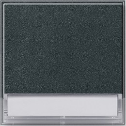 067667 Клавиша с полем для надписи 37*47 мм Антрацит Gira TX44