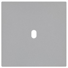 90A06F00 Fontini 5.1 Одинарная панель для двойного механизма переключения Silver 90A06F00 Fontini 5.1 Одинарная панель для двойного механизма переключения Silver